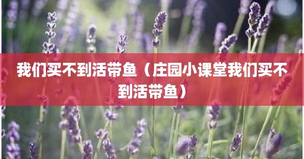 我们买不到活带鱼（庄园小课堂我们买不到活带鱼）