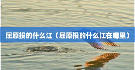 屈原投的什么江（屈原投的什么江在哪里）