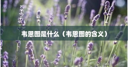 韦恩图是什么（韦恩图的含义）