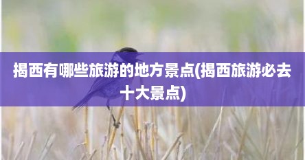 揭西有哪些旅游的地方景点(揭西旅游必去十大景点)