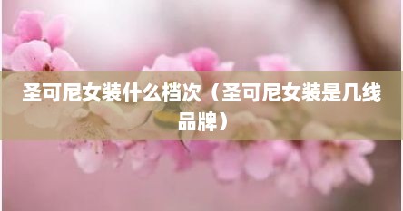 圣可尼女装什么档次（圣可尼女装是几线品牌）