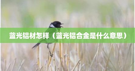 蓝光铝材怎样（蓝光铝合金是什么意思）