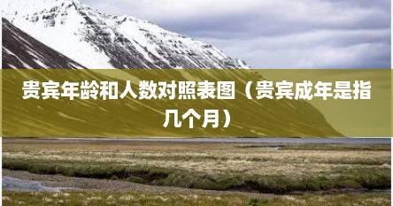 贵宾年龄和人数对照表图（贵宾成年是指几个月）