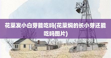 花菜发小白芽能吃吗(花菜焖的长小芽还能吃吗图片)