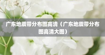 广东地震带分布图高清（广东地震带分布图高清大图）