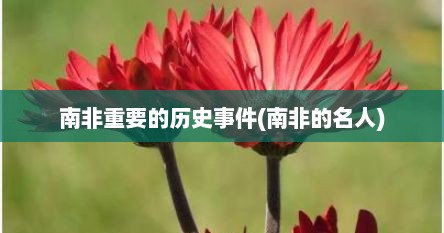 南非重要的历史事件(南非的名人)