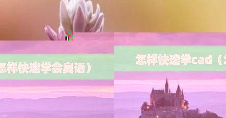怎样快速学cad（怎样快速学会奥语）
