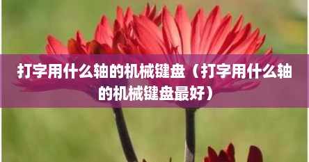打字用什么轴的机械键盘（打字用什么轴的机械键盘最好）
