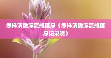 怎样清除漂流瓶信息（怎样清除漂流瓶信息记录呢）