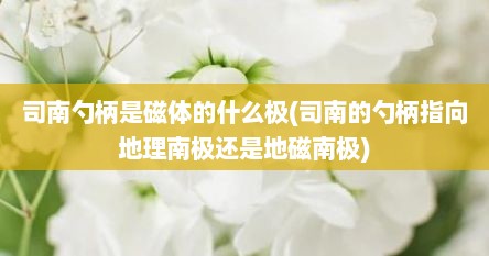 司南勺柄是磁体的什么极(司南的勺柄指向地理南极还是地磁南极)