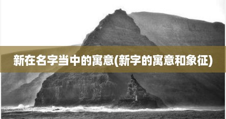 新在名字当中的寓意(新字的寓意和象征)