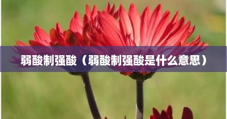 弱酸制强酸（弱酸制强酸是什么意思）