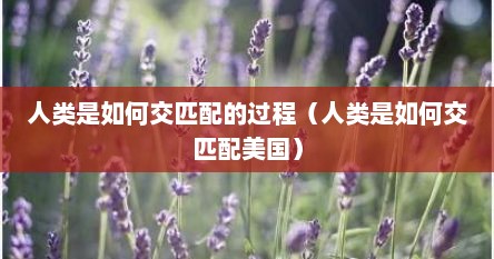 人类是如何交匹配的过程（人类是如何交匹配美国）