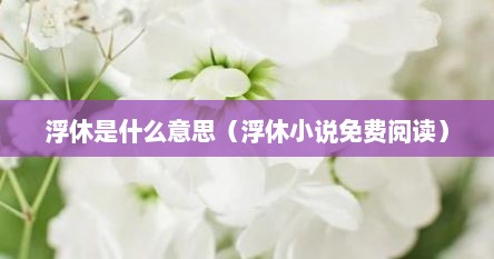 浮休是什么意思（浮休小说免费阅读）