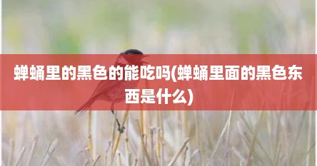 蝉蛹里的黑色的能吃吗(蝉蛹里面的黑色东西是什么)