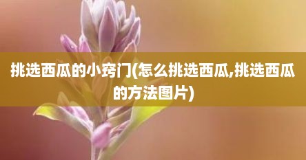 挑选西瓜的小窍门(怎么挑选西瓜,挑选西瓜的方法图片)