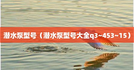 潜水泵型号（潜水泵型号大全q3~453~15）