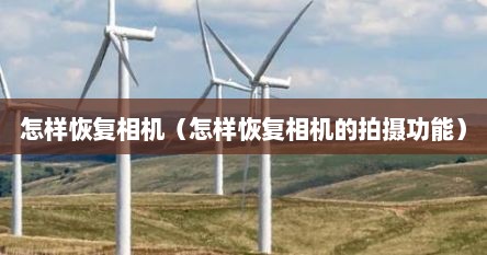 怎样恢复相机（怎样恢复相机的拍摄功能）