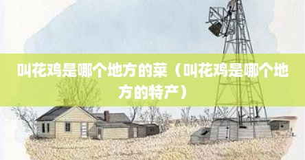 叫花鸡是哪个地方的菜（叫花鸡是哪个地方的特产）