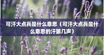 可汗大点兵是什么意思（可汗大点兵是什么意思的汗第几声）