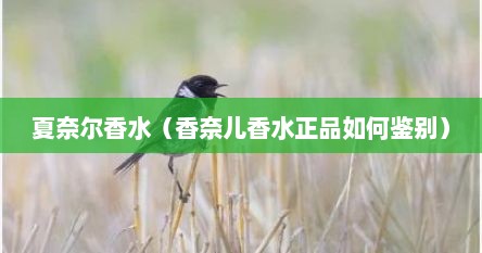 夏奈尔香水（香奈儿香水正品如何鉴别）
