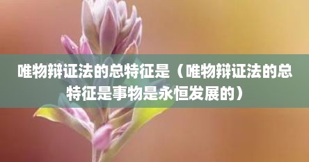 唯物辩证法的总特征是（唯物辩证法的总特征是事物是永恒发展的）