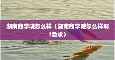 湖南商学院怎么样（湖南商学院怎么样啊?急求）