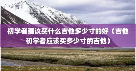 初学者建议买什么吉他多少寸的好（吉他初学者应该买多少寸的吉他）