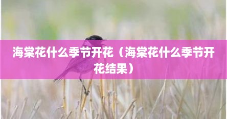 海棠花什么季节开花（海棠花什么季节开花结果）