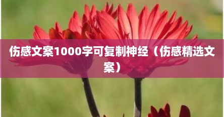 伤感文案1000字可复制神经（伤感精选文案）