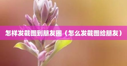 怎样发截图到朋友圈（怎么发截图给朋友）