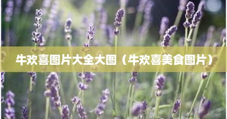 牛欢喜图片大全大图（牛欢喜美食图片）