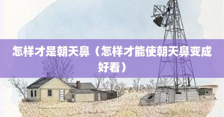怎样才是朝天鼻（怎样才能使朝天鼻变成好看）