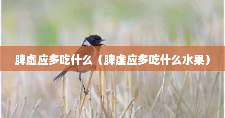 脾虚应多吃什么（脾虚应多吃什么水果）