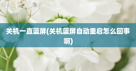 关机一直蓝屏(关机蓝屏自动重启怎么回事啊)