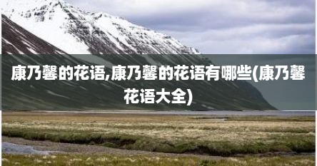 康乃馨的花语,康乃馨的花语有哪些(康乃馨花语大全)