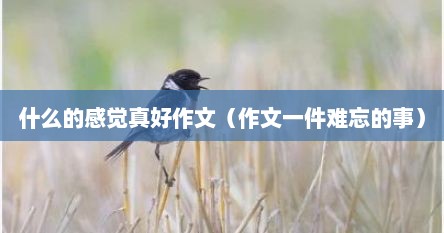 什么的感觉真好作文（作文一件难忘的事）