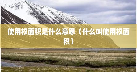 使用权面积是什么意思（什么叫使用权面积）
