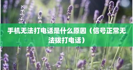 手机无法打电话是什么原因（信号正常无法拨打电话）