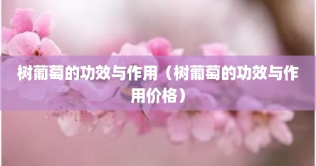 树葡萄的功效与作用（树葡萄的功效与作用价格）
