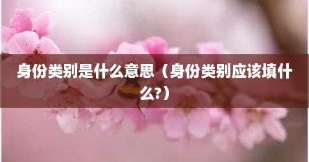 身份类别是什么意思（身份类别应该填什么?）