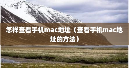怎样查看手机mac地址（查看手机mac地址的方法）