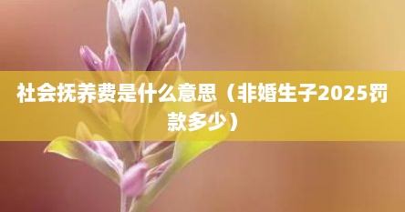 社会抚养费是什么意思（非婚生子2025罚款多少）
