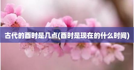 古代的酉时是几点(酉时是现在的什么时间)