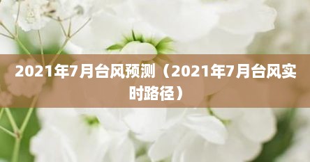 2021年7月台风预测（2021年7月台风实时路径）