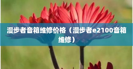 漫步者音箱维修价格（漫步者e2100音箱维修）