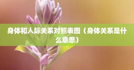身体和人际关系对照表图（身体关系是什么意思）