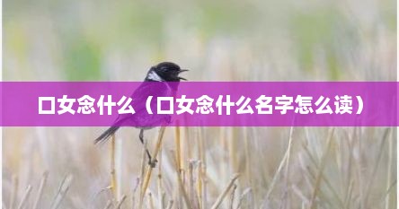 口女念什么（口女念什么名字怎么读）