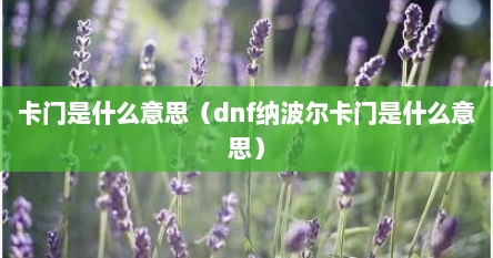 卡门是什么意思（dnf纳波尔卡门是什么意思）