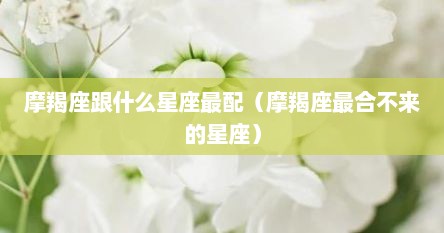 摩羯座跟什么星座最配（摩羯座最合不来的星座）